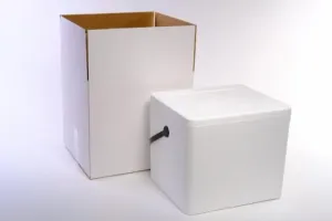 22qt Styrofoam Cooler | Large Lightweight Insulated Ice Chest for Food, Drinks & Medical Transport | Cold Storage for Grocery Delivery & Frozen Shipping