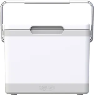Bevanda - Verge Insulated Lunch Box Cooler - Durable Hard Shell - 2 Magnetic Ice Packs Included - Magnetic Lid & Air Tight Seal - Keeps Food Hot or Cold for Hours - Stainless Steel Handle