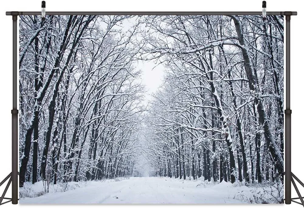 Christmas Backdrops for Photography, Winter Scene Backdrop Winter Landscape Forest Ice and Snow World Theme Backdrop, Christmas Party Decoration Supplies 7x5ft（C）