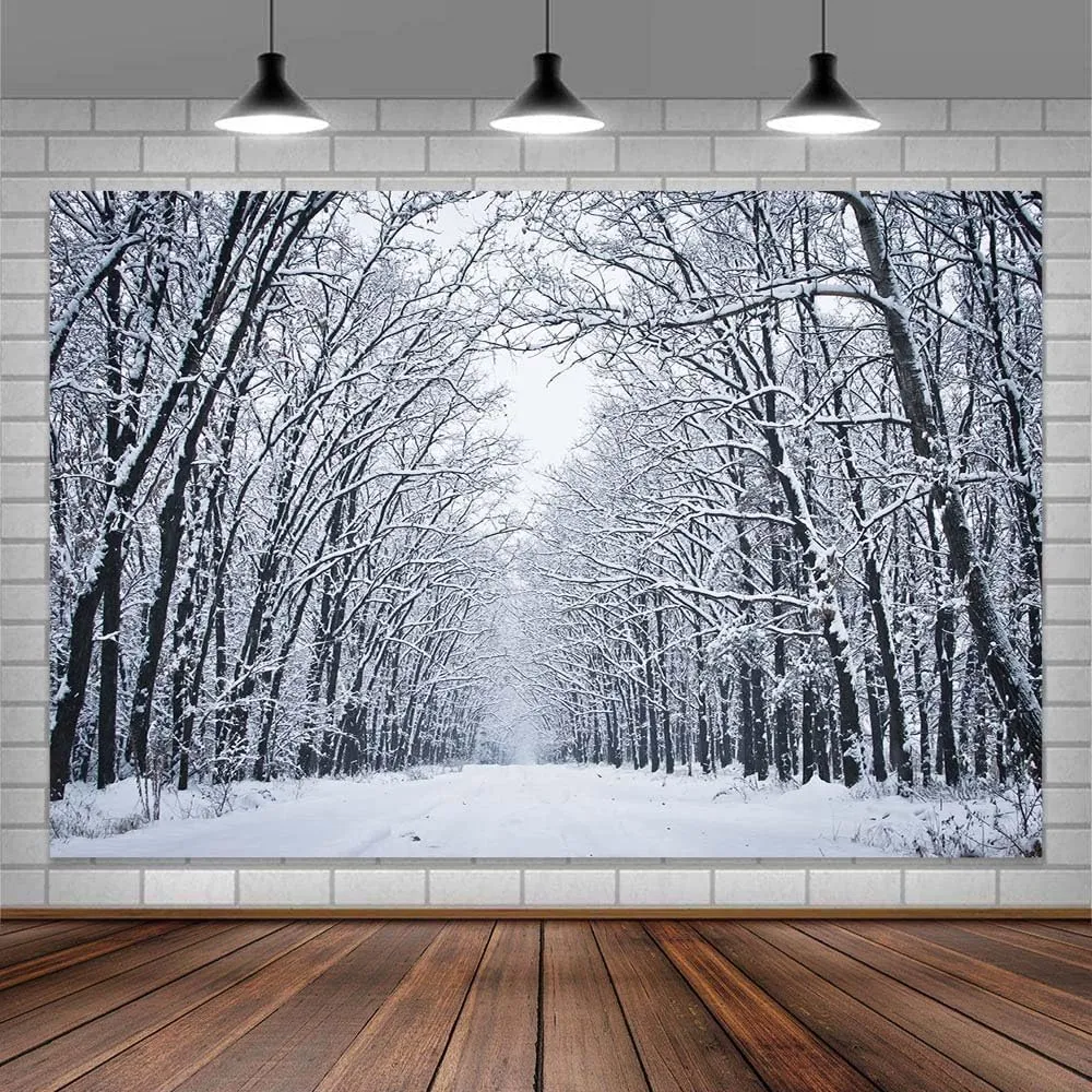 Christmas Backdrops for Photography, Winter Scene Backdrop Winter Landscape Forest Ice and Snow World Theme Backdrop, Christmas Party Decoration Supplies 7x5ft（C）