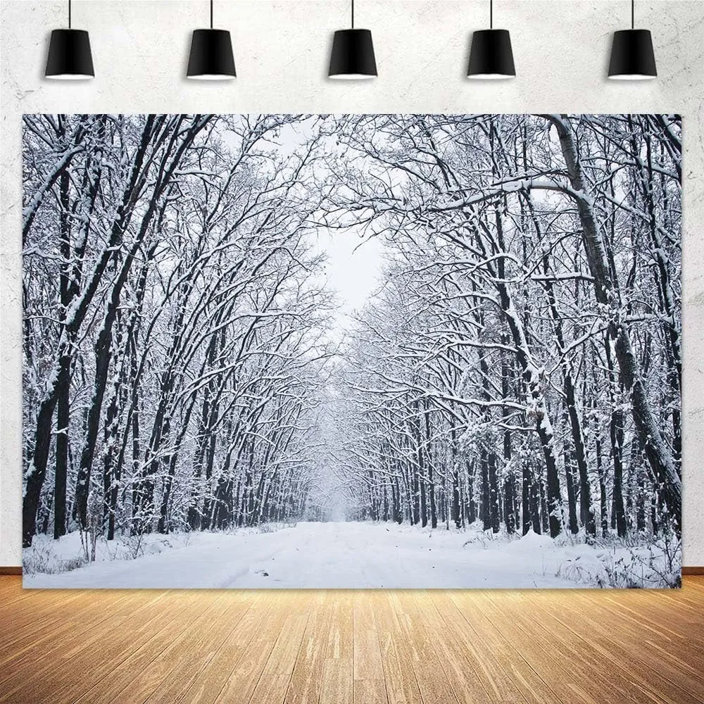 Christmas Backdrops for Photography, Winter Scene Backdrop Winter Landscape Forest Ice and Snow World Theme Backdrop, Christmas Party Decoration Supplies 7x5ft（C）