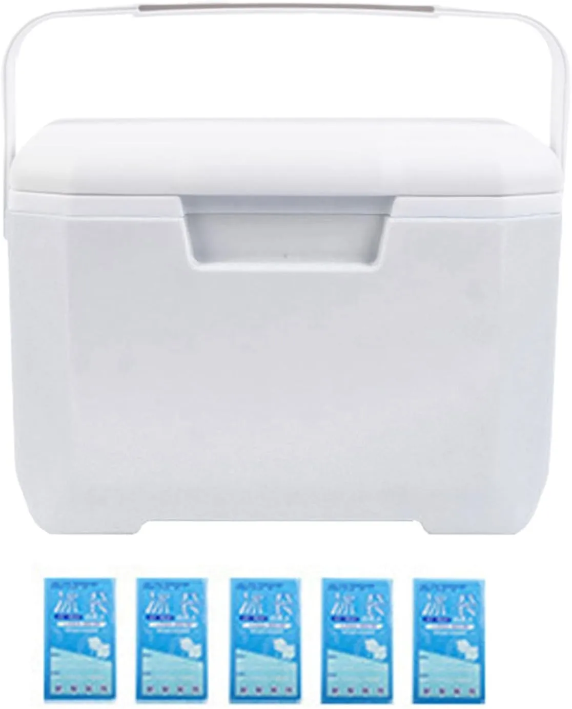 Cooler Box for Food and Drinks, 6L Portable Insulated Hard Shell Ice Chest, Leakproof Lightweight Ice Box with Heavy Duty Handle, Outdoor Travel Cooler for Camping, Beach, BBQ, Picnic White