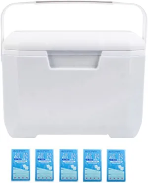 Cooler Box for Food and Drinks, 6L Portable Insulated Hard Shell Ice Chest, Leakproof Lightweight Ice Box with Heavy Duty Handle, Outdoor Travel Cooler for Camping, Beach, BBQ, Picnic White