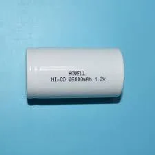 Dealsplant 1.2V 5000 mah Ni-CD Rechargeable D Size Battery for Toys
