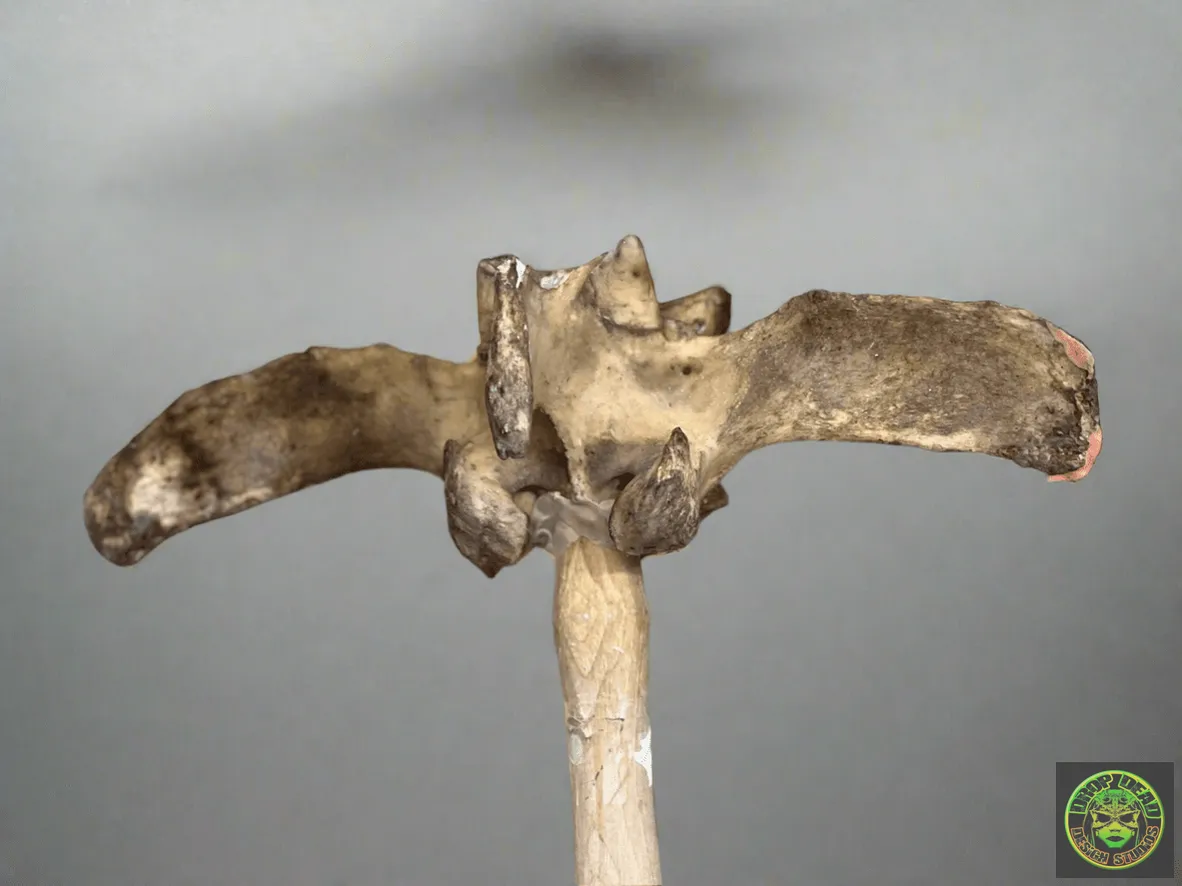 Double Vertebra Axe Prop