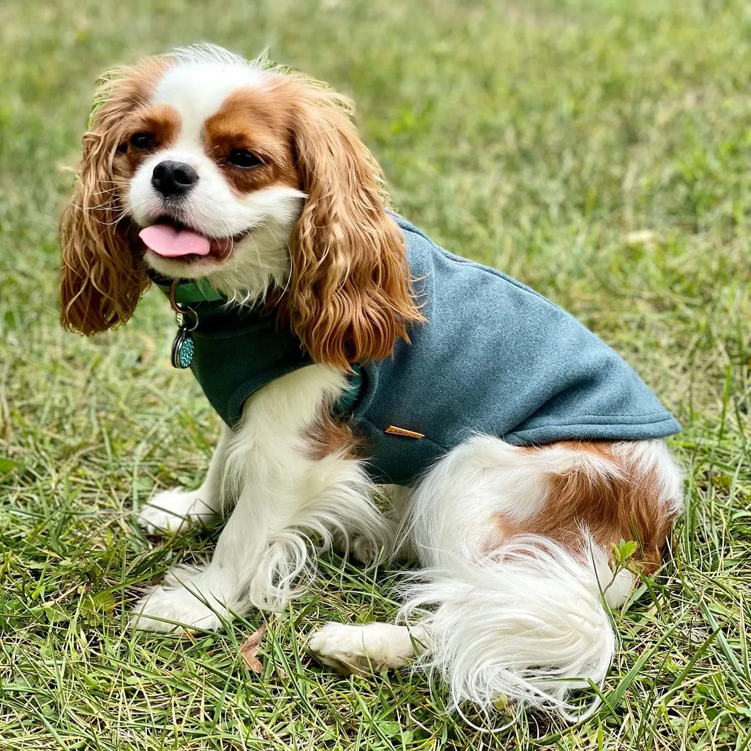 Gooby Zip Up Microfiber Fleece Sweater - Turquoise, Medium - Warm Double Layered Step-in Jacket Without Ring Leash - Winter Sweaters for Small and Medium Dogs