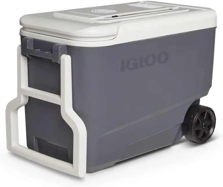 Igloo Iceless Thermoelectric Cooler, Portable Cooler Electric, Plug-in 12V Camping Fridge Cooler, Electric Ice Chest, Hielera Electrica