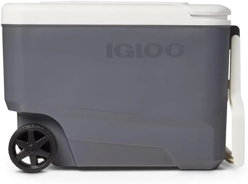 Igloo Iceless Thermoelectric Cooler, Portable Cooler Electric, Plug-in 12V Camping Fridge Cooler, Electric Ice Chest, Hielera Electrica