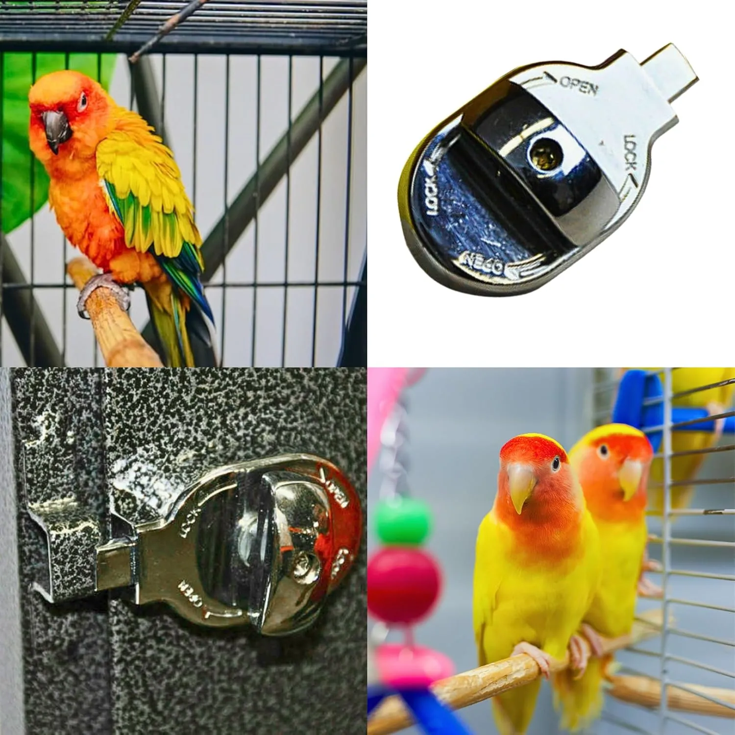 Kings Cages 1334 Lock 6 Round Feeder Door Lock – Durable Chrome-Plated Steel, 2 1/8" x 1 1/4", Secure Feeder Door Closure for Birdcages, Prevents Escape & Tampering