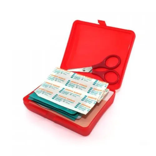 Mini First Aid Kit