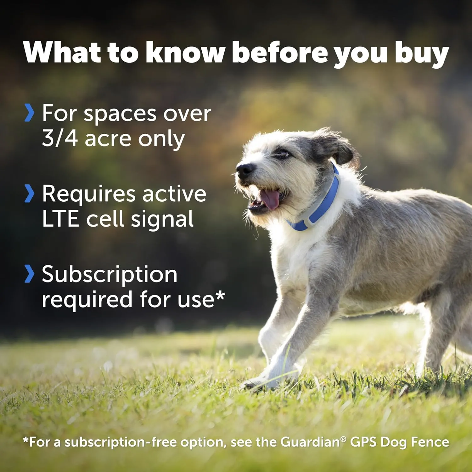 PetSafe Guardian GPS   Tracking Dog Fence Collar Pet Safe GPS Dog Collar Fence System, with App Waterproof Rechargeable Collar, Tracking for Dogs (Blue, Grey)