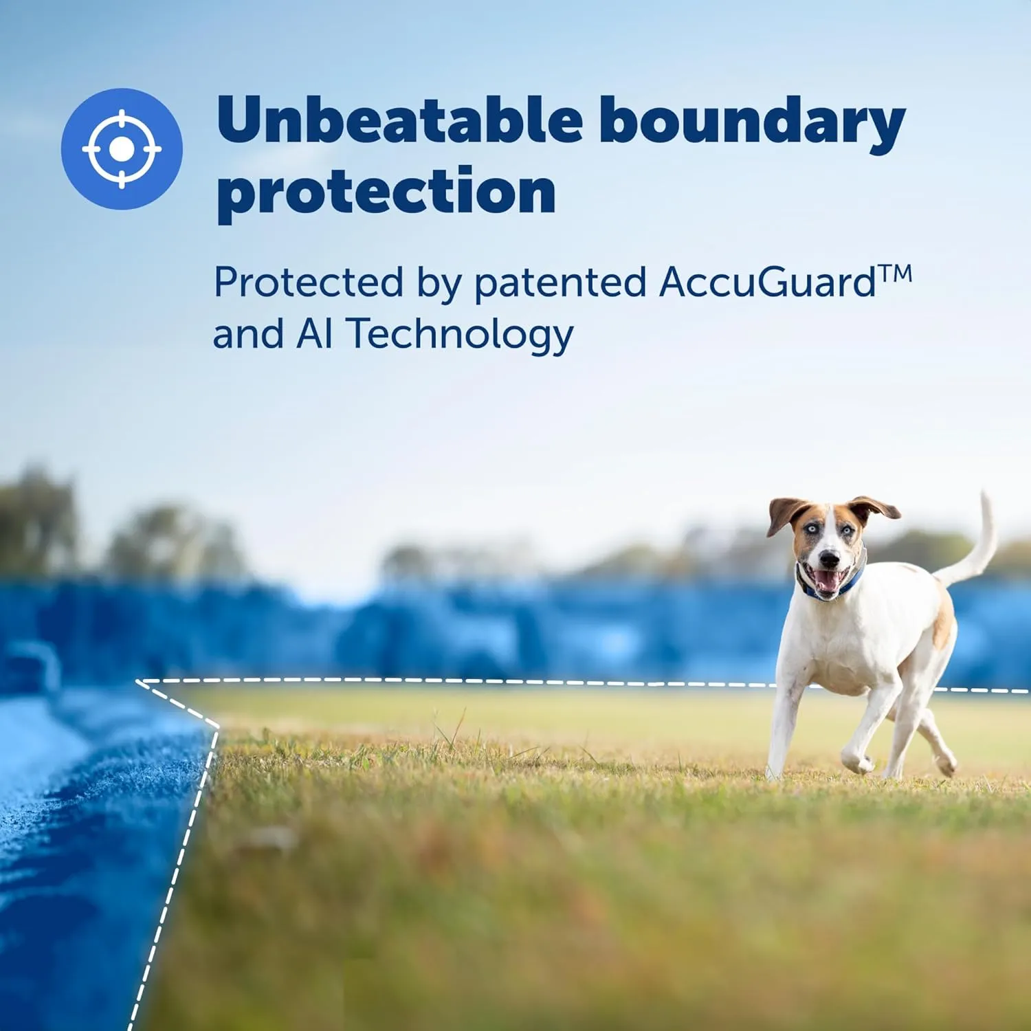PetSafe Guardian GPS   Tracking Dog Fence Collar Pet Safe GPS Dog Collar Fence System, with App Waterproof Rechargeable Collar, Tracking for Dogs (Blue, Grey)