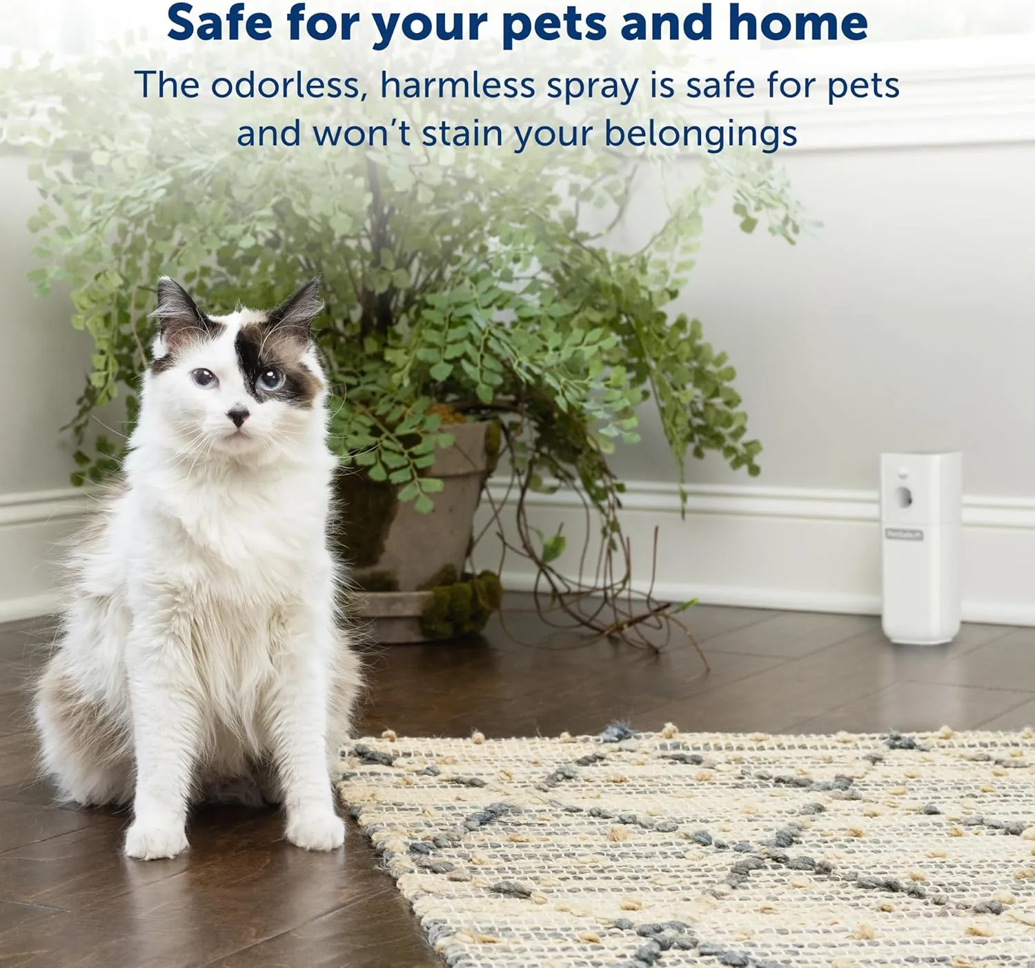 PetSafe SSSCAT Refill Can for Motion Activated Automatic Spray Pet Deterrent for Cats and Dogs, Pack of 3