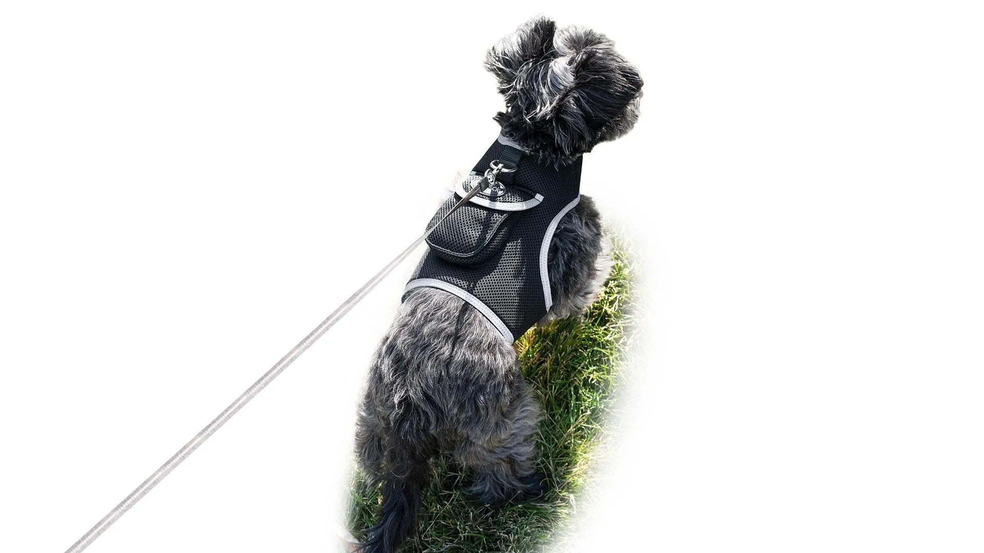 Resilient GPS Dog Tracker Collar – Rechargeable XS Size for Labs