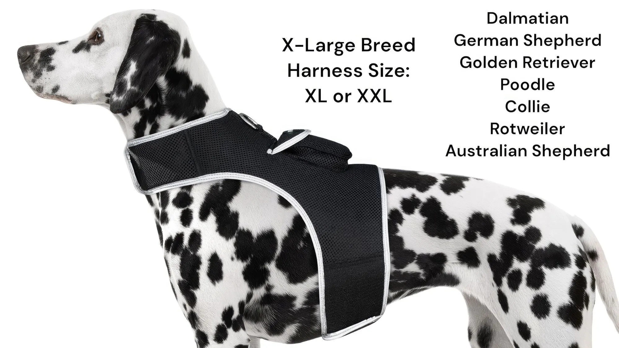 Resilient GPS Dog Tracker Collar – Rechargeable XS Size for Labs