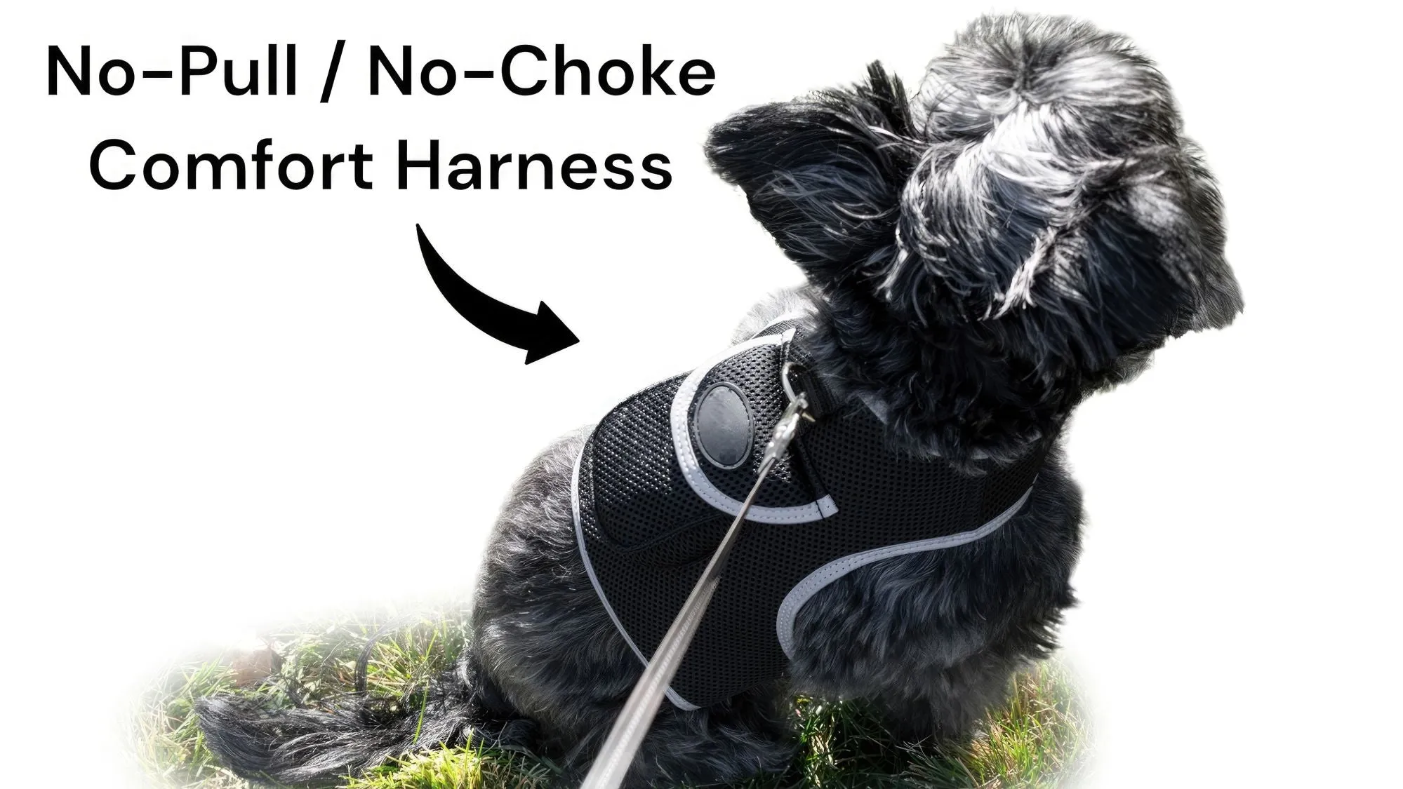 Resilient GPS Dog Tracker Collar – Rechargeable XS Size for Labs