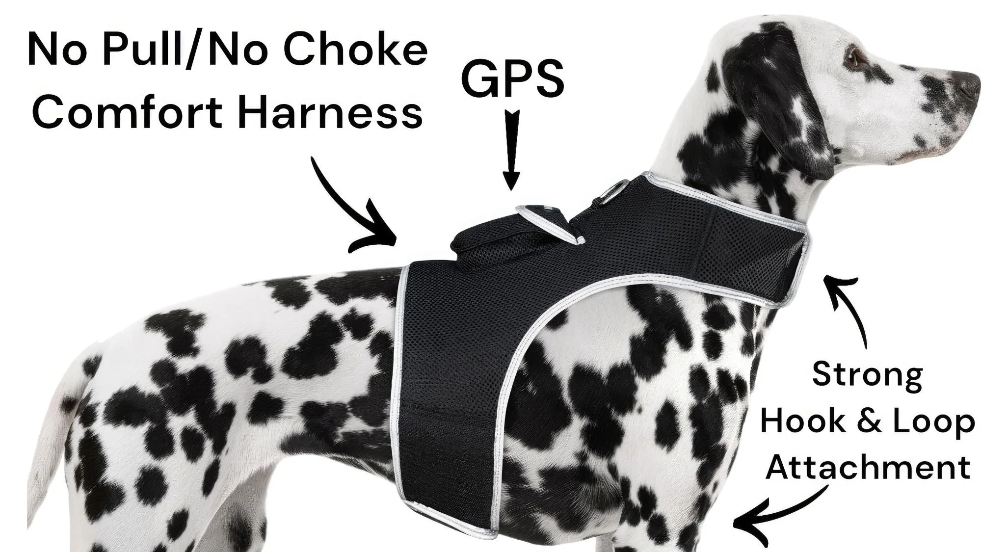 Resilient GPS Dog Tracker Collar – Rechargeable XS Size for Labs