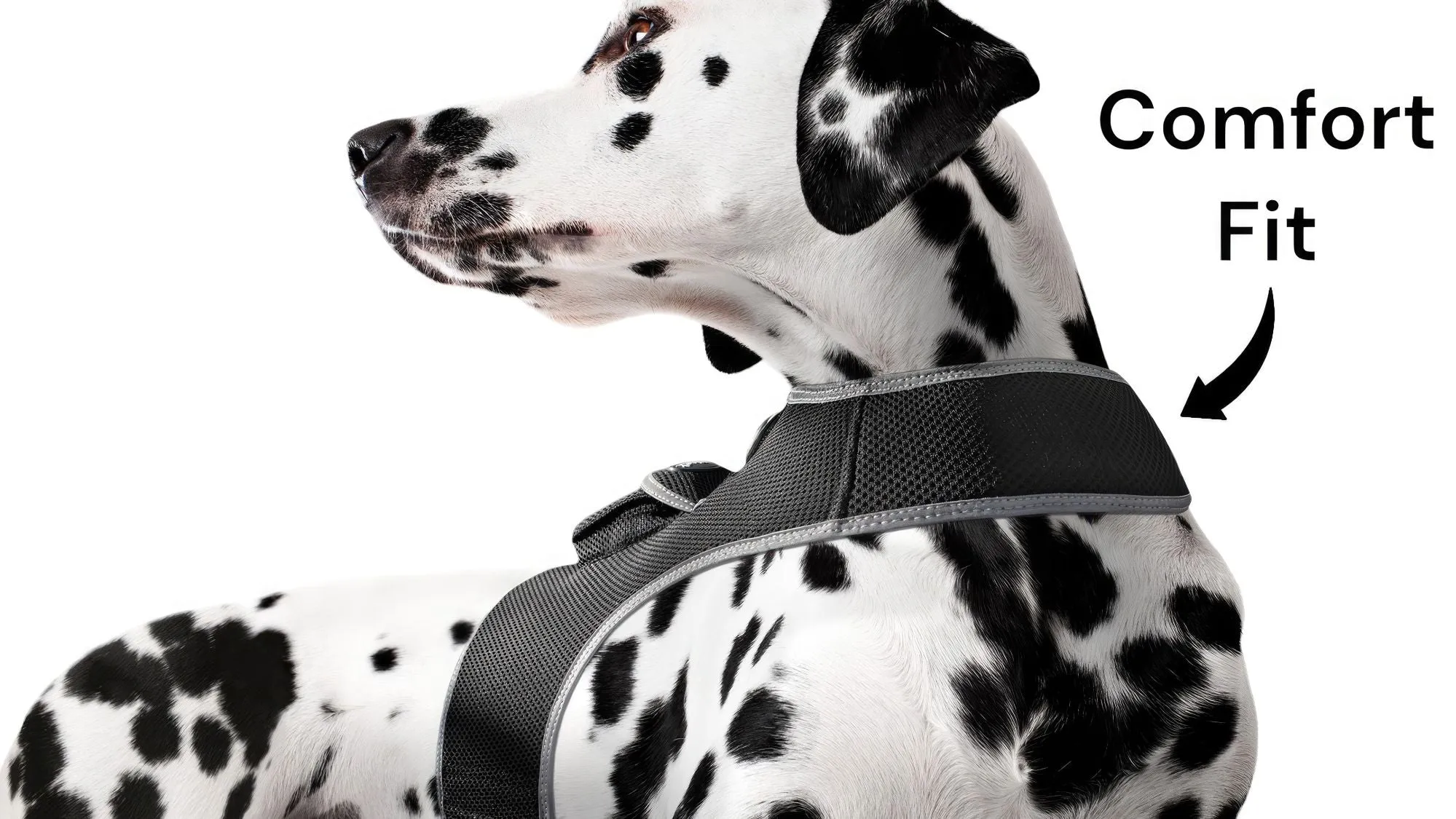 Resilient GPS Dog Tracker Collar – Rechargeable XS Size for Labs