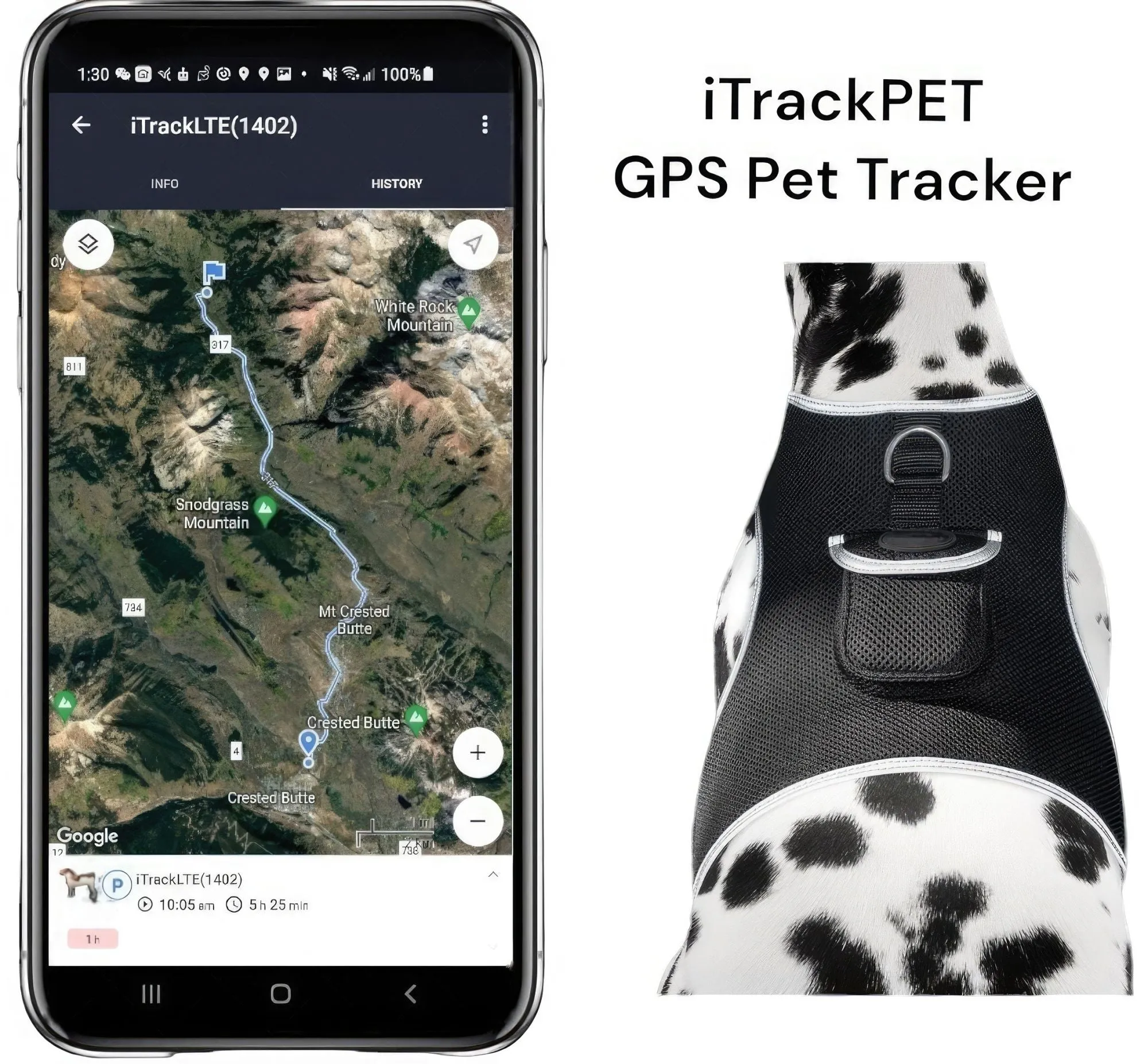 Resilient GPS Dog Tracker Collar – Rechargeable XS Size for Labs