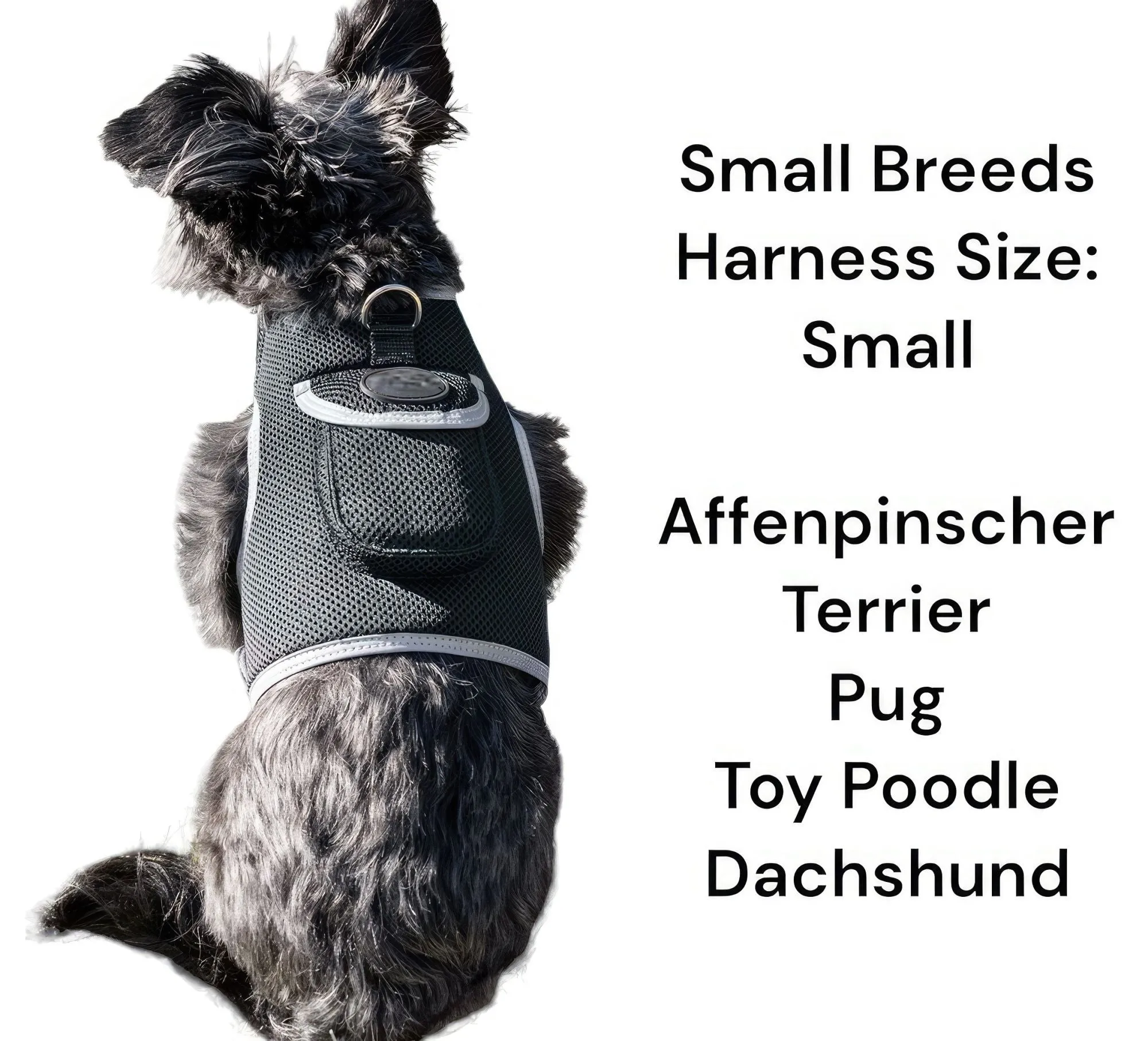 Resilient GPS Dog Tracker Collar – Rechargeable XS Size for Labs