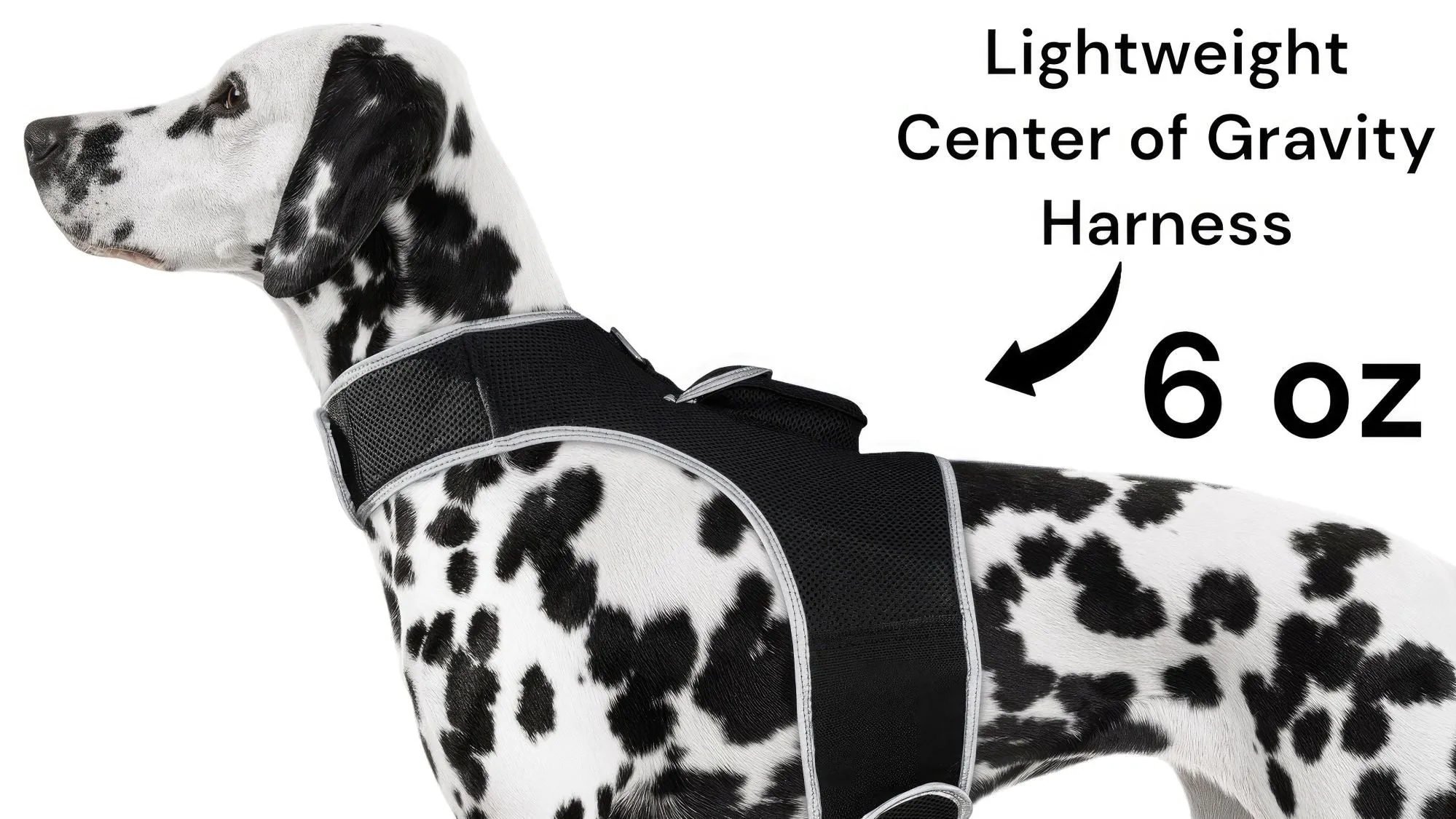 Resilient GPS Dog Tracker Collar – Rechargeable XS Size for Labs