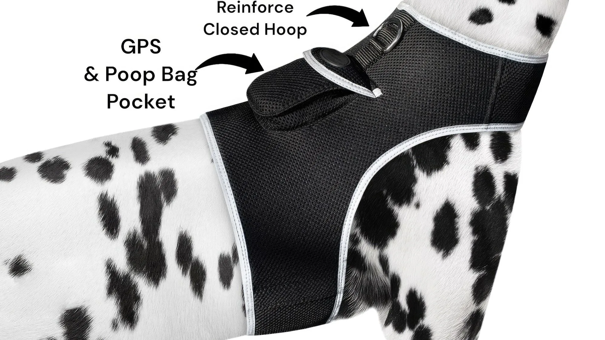 Resilient GPS Dog Tracker Collar – Rechargeable XS Size for Labs