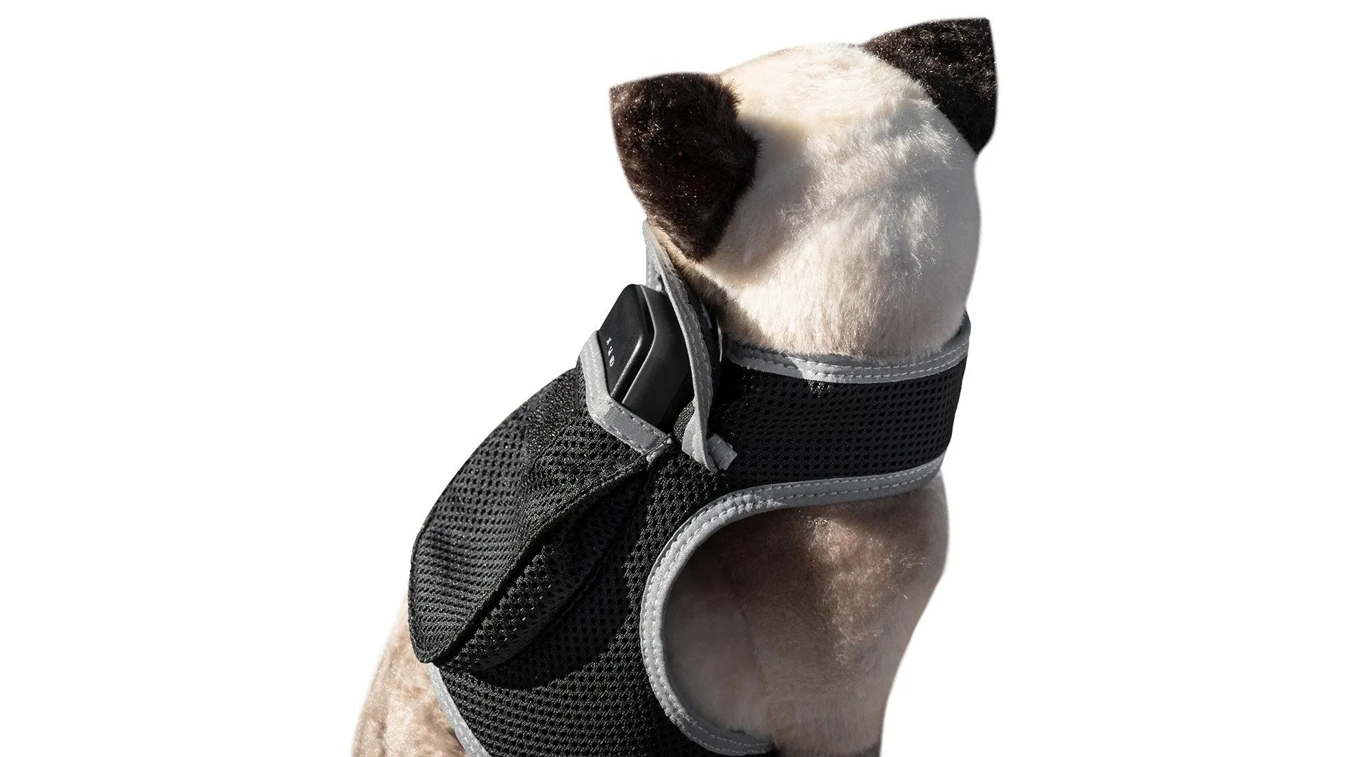 Resilient GPS Dog Tracker Collar – Rechargeable XS Size for Labs