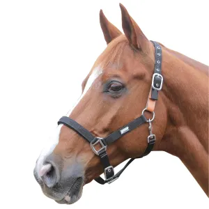 Roma Breakaway Halter II, Black, Cob