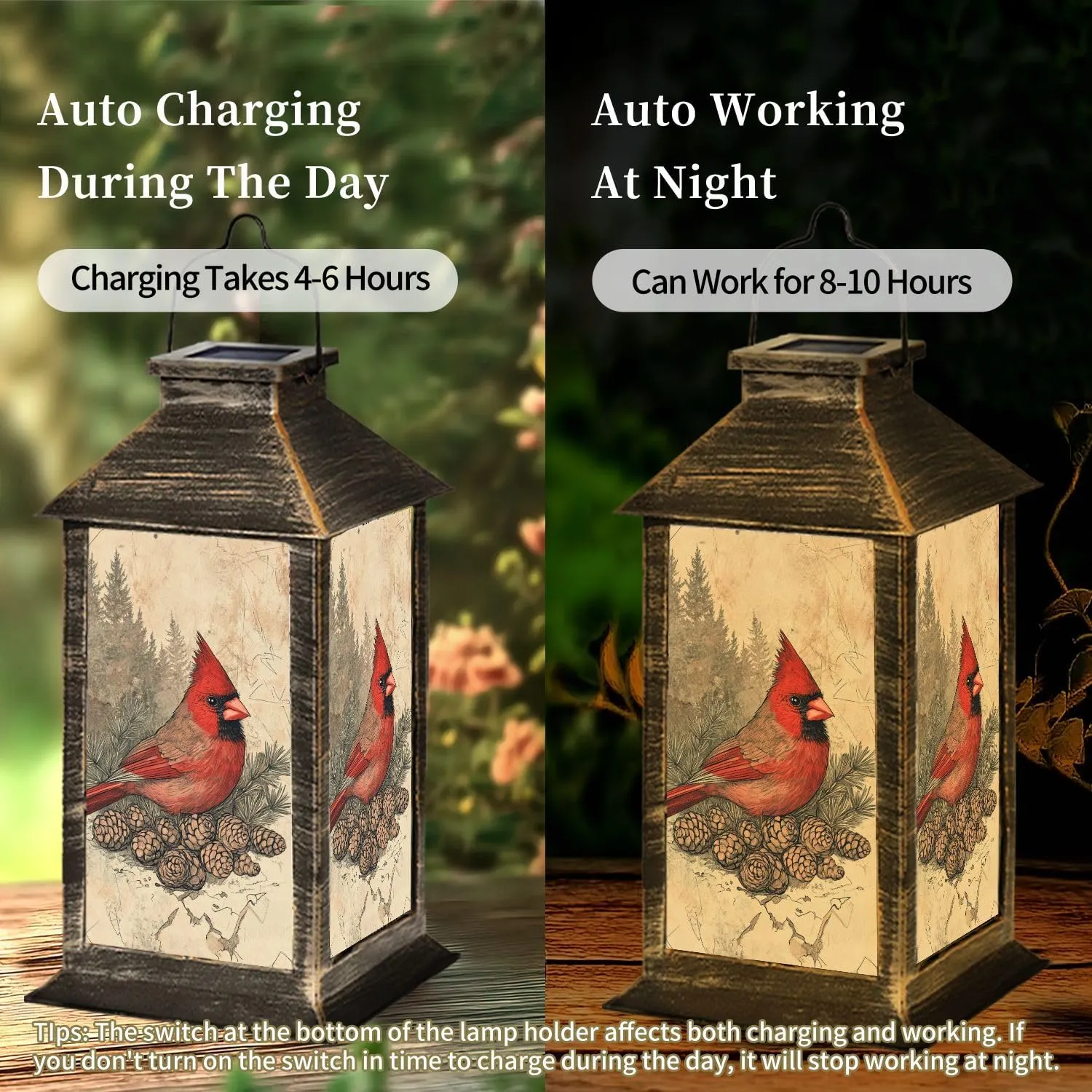 Solar Lantern Distressed Vintage Cardinal Print Evergreen Accents Outdoor Waterproof Garden Hanging Lantern Solar Powered Lighting Outside Table Lamp for Patio Deck Camping 1 Pack
