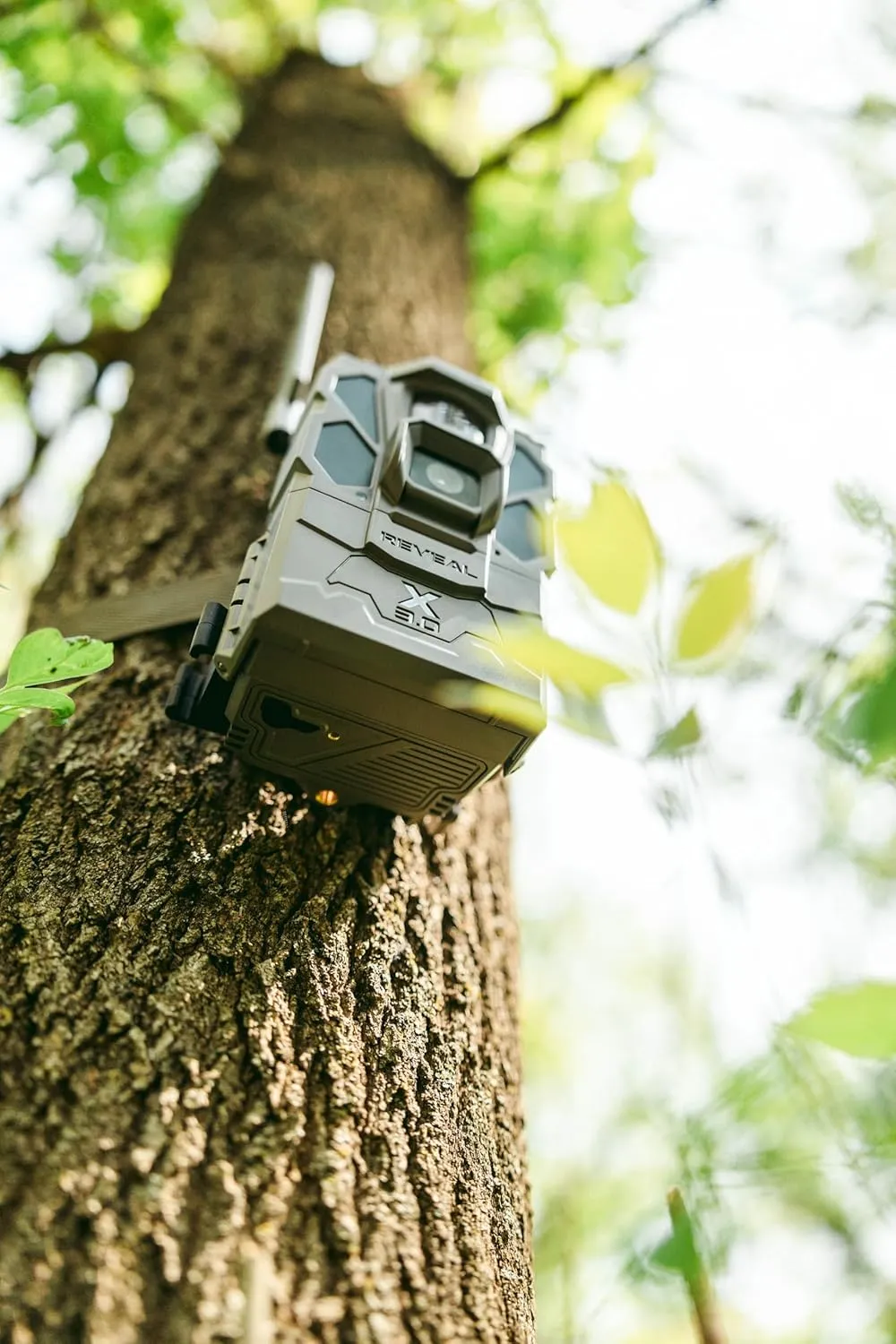 TACTACAM Reveal X Gen 3.0 Cellular Trail Camera – Multi-Carrier, GPS, Low-Glow IR, HD Photo/Video, Pre-Installed Antenna, Includes Solar Panel, Rechargeable Battery, 32GB SD, & Tripod Mount (2PK)