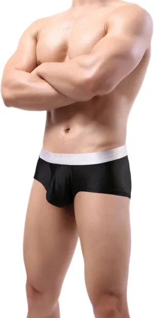 ZONBAILON Mens Sexy Ice Silk Boxer Briefs Underwear Low Rise Bulge Enhancing Pouch Trunks Pack M L XL 2XL 3XL